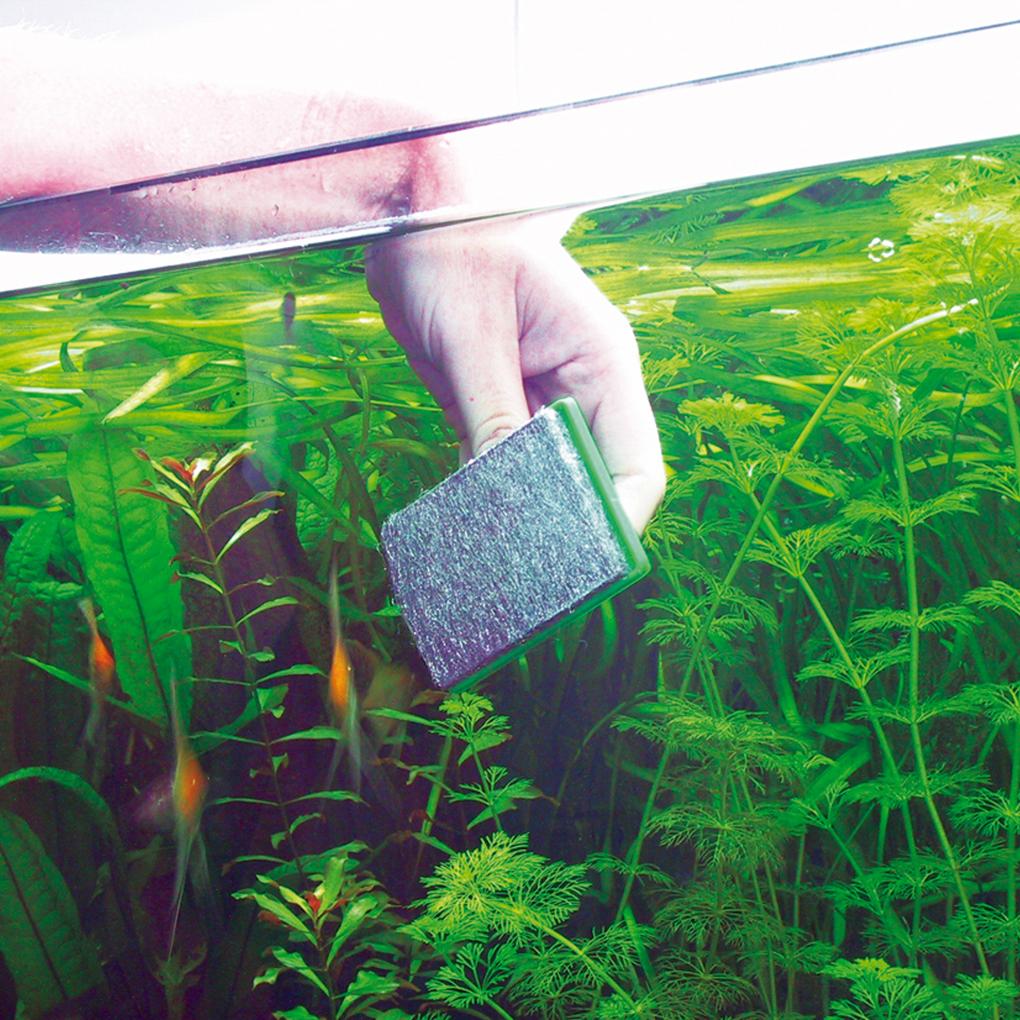 JBL Blanki – Effektiver Aquarien-Scheibenreiniger