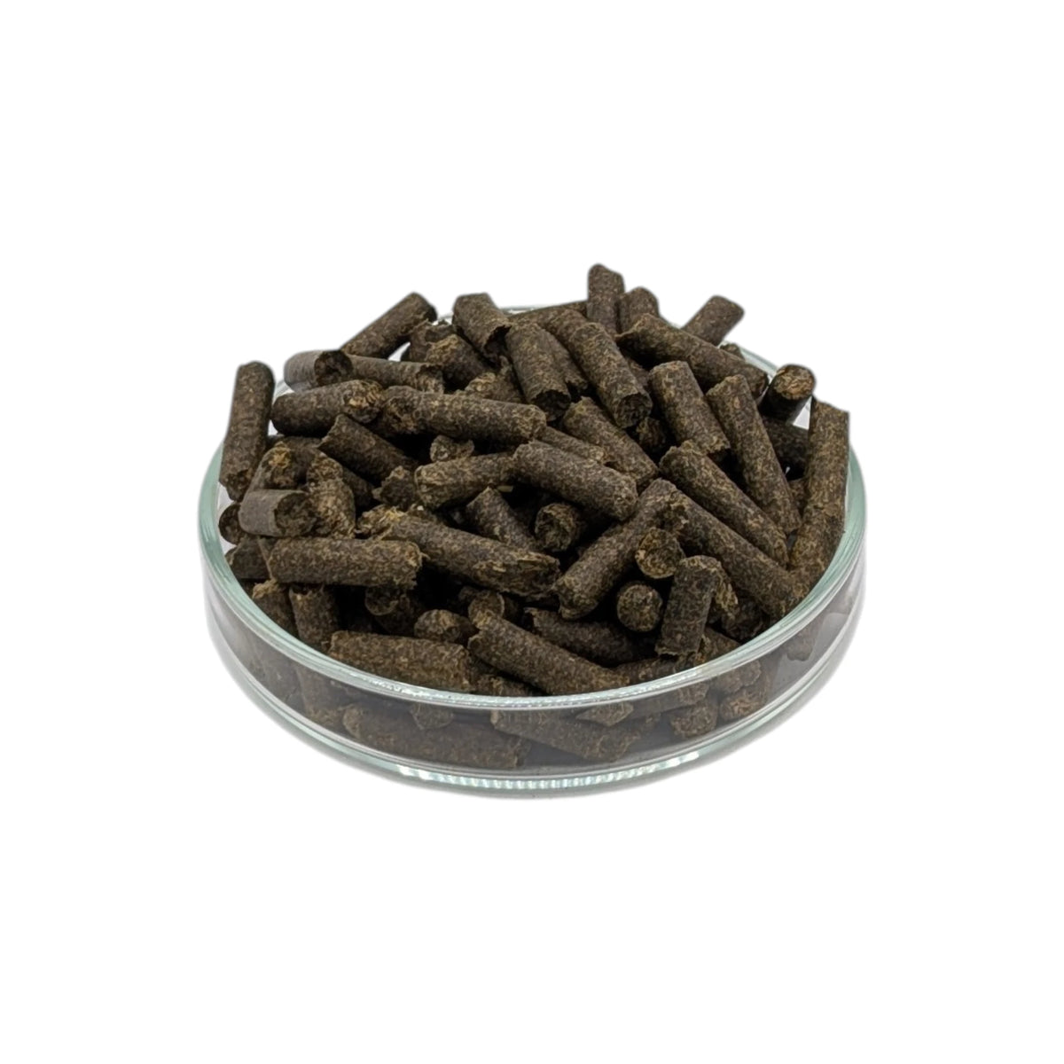 Löwenzahn-Sticks – Premium Naturfutter für Zwerggarnelen