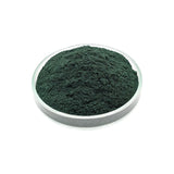 Spirulina-Pulver – Proteinbooster für Garnelen, Welse & Fische