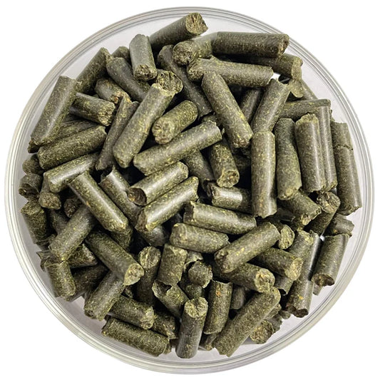 Brennnessel-Sticks – Fördert Häutung, Wachstum & Farbenpracht für Garnelen