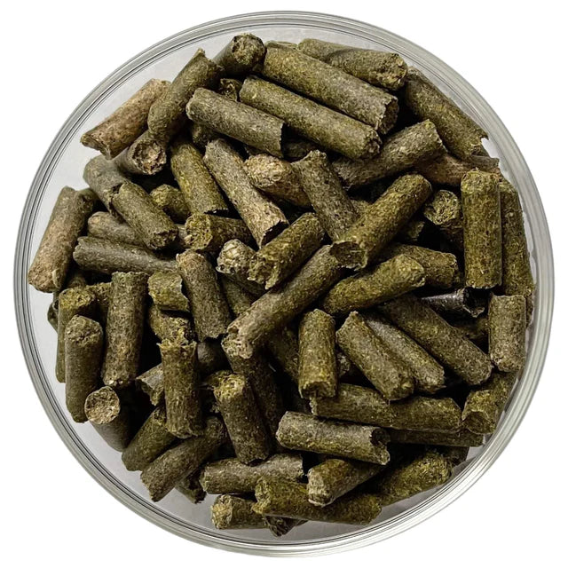 Löwenzahn-Sticks – Premium Naturfutter für Zwerggarnelen