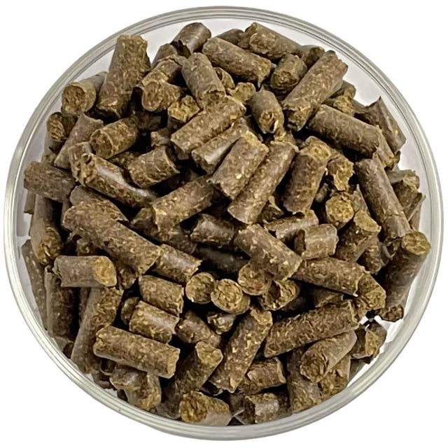 Walnuss-Sticks – Natürliches Garnelenfutter für starke & gesunde Garnelen